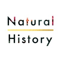 Natural History logo - Similar company to Natural History Magazine