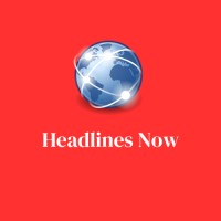 Headlines Now logo - Similar company to Get Growth