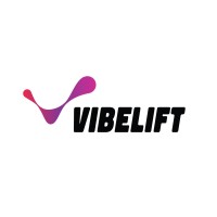 VIBELIFT youth organization logo - Similar company to Windex