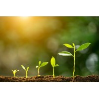 FertGaia - Fertilizantes logo - Similar company to Agrovittae Nutritech