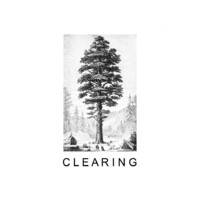 C L E A R I N G logo - Similar company to Ala Projects