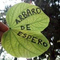 Arbaro de Espero logo - Similar company to Copernicus Technologies Gmbh