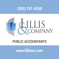 Lillis and Company Public Accountants logo - Similar company to Borg Revisjon As