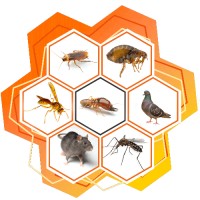 Laboratoire SUBLIMM 97-4 logo - Similar company to Efficiware