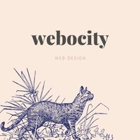 Webocity logo - Similar company to Marketix Digital