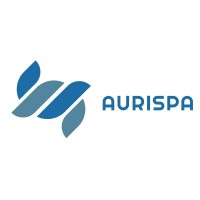 AURISPA logo - Similar company to R&A Holding S.R.L.