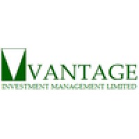 Vantage Investment Advisory Limited logo - Similar company to Tiny Co Holdings Inc.