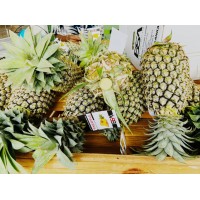 BSA Agro Private Limited logo - Similar company to Bsa Knitlab