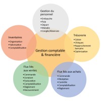Assistante ressources humaines, administrative et comptable à domicile logo - Similar company to Ginkgo Ressources Humaines