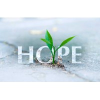 Abundant Hope Integrated Solutions logo - Similar company to Arizona Behavioral Health Associates, P.C.