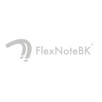 FlexNoteBK logo - Similar company to Bayón Pellicer, S.L.