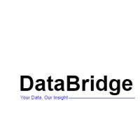 DataBridge.ai logo - Similar company to Databridgeai