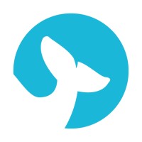 Surfrigo logo - Similar company to Doing+