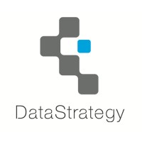 DataStrategy Inc. logo - Similar company to Datastrategy.Ai