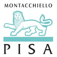Montacchiello logo - Similar company to Pisa.Dev