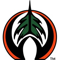 WASP Wildfire logo - Similar company to Modern Wave Systems