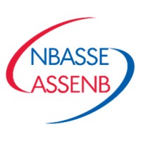 New Brunswick Association for Supported Services and Employment logo - Similar company to D&D Soluciones Integrales