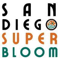 Super Bloom Ultimate logo - Similar company to Templa8