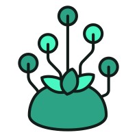 Caudex logo - Similar company to Caudex