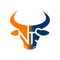 Nanditech Solutions logo - Similar company to Nandi