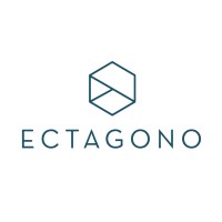 Ectagono logo - Similar company to Bravo