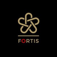 Fortis Executive logo - Similar company to Fortis Partners