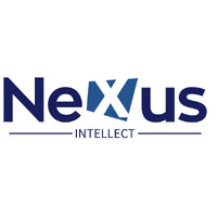 Nexus Intellect Research NGO logo - Similar company to Image Cube