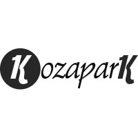 Kozapark logo - Similar company to Insightquest