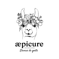 Æpicure logo - Similar company to L'Akdemy