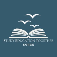 SET Surge logo - Similar company to Setsurge