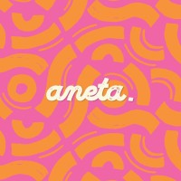 Aneta Studio logo - Similar company to Captain'S Bakery