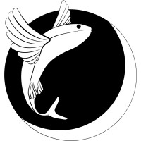 Forty Flying Fish