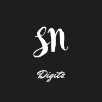SNdigitz logo - Similar company to Sndif