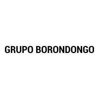 Grupo Borondongo logo - Similar company to Ecomsphere Usa