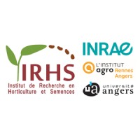 IRHS Angers logo - Similar company to Ips2