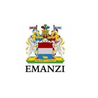 Emanzi Consulting logo - Similar company to Tcp Partners, Llc