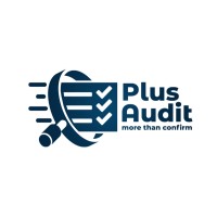 Plus Audit logo - Similar company to Argo Audit Ltd