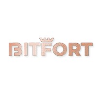 BitFort Computer Consultancy Company logo - Similar company to Bitfort Technologies
