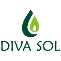 DIVA SOL logo - Similar company to 360 Group