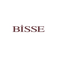 BİSSE logo - Similar company to Z A U
