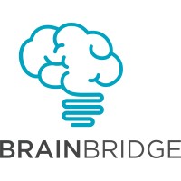 Brainbridge logo - Similar company to Brainbridge Technics