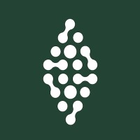 Qumir nano logo - Similar company to Nandi