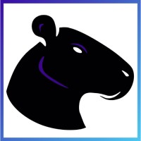 Dark Capybara logo - Similar company to Byte Power X Pty Ltd