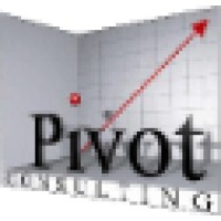 Pivot Consulting S.R.L