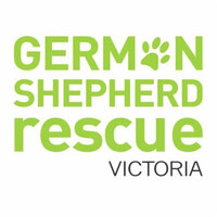 German Shepherd Rescue Victoria