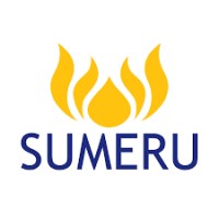 Sumeru Global Technologies Private Limited logo - Similar company to Sumeru Inc