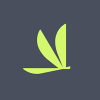 Volato (NYSE: SOAR) logo - Similar company to Jet It