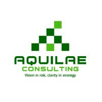 Aquilae Consulting LLC logo - Similar company to Falconry Solutions