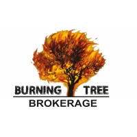 Burning Tree Brokerage, LLC logo - Similar company to Ceylonian