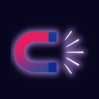 Brandnetic logo - Similar company to Zerro Digital